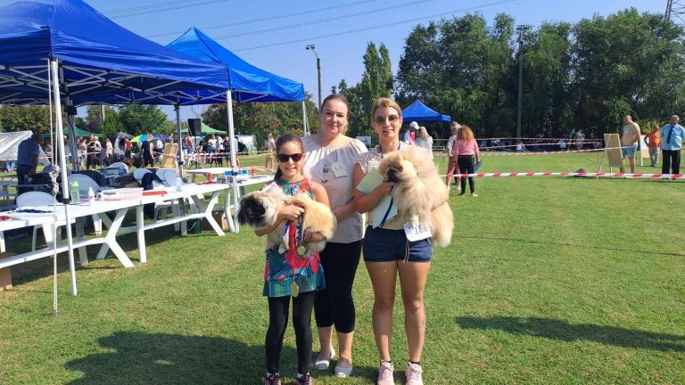 Országos Terrier Klub és MKSZ