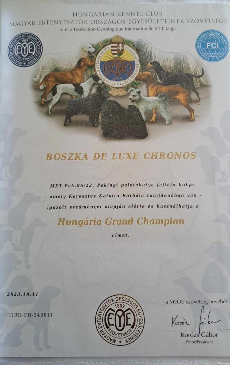 Grand Champion oklevél