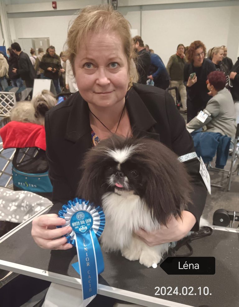 FeHoVa 2024 Winterdogshow 3.nap