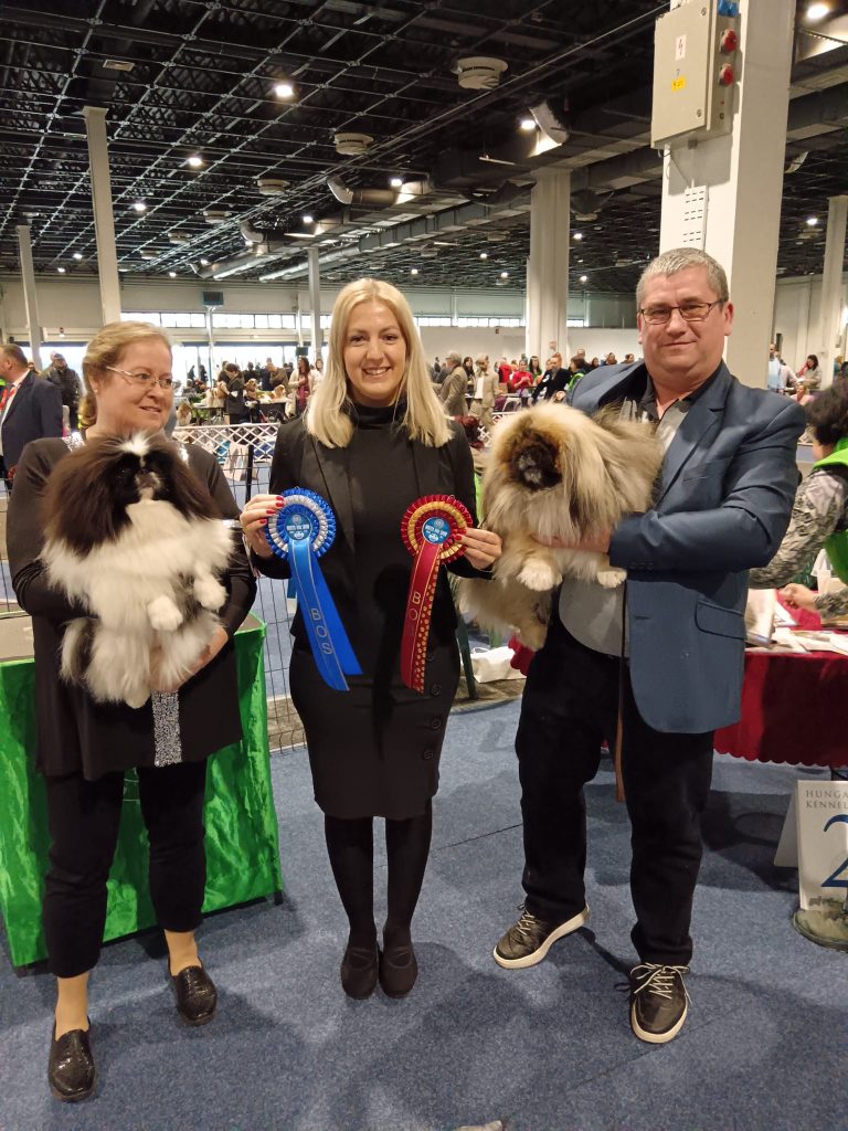 FeHoVa 2024 Winterdogshow 4.nap