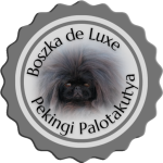 Read more about the article ÁBÉ Speciál Show Jakabszállás/CAC/CACIB