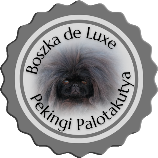 Jakabszállás CACIB