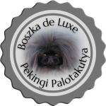 Köszöntjük a Boszka de Luxe Pekingi Palotakutya Kennel oldalán