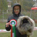Read more about the article Boszka De Luxe Gino Salgótarjánban