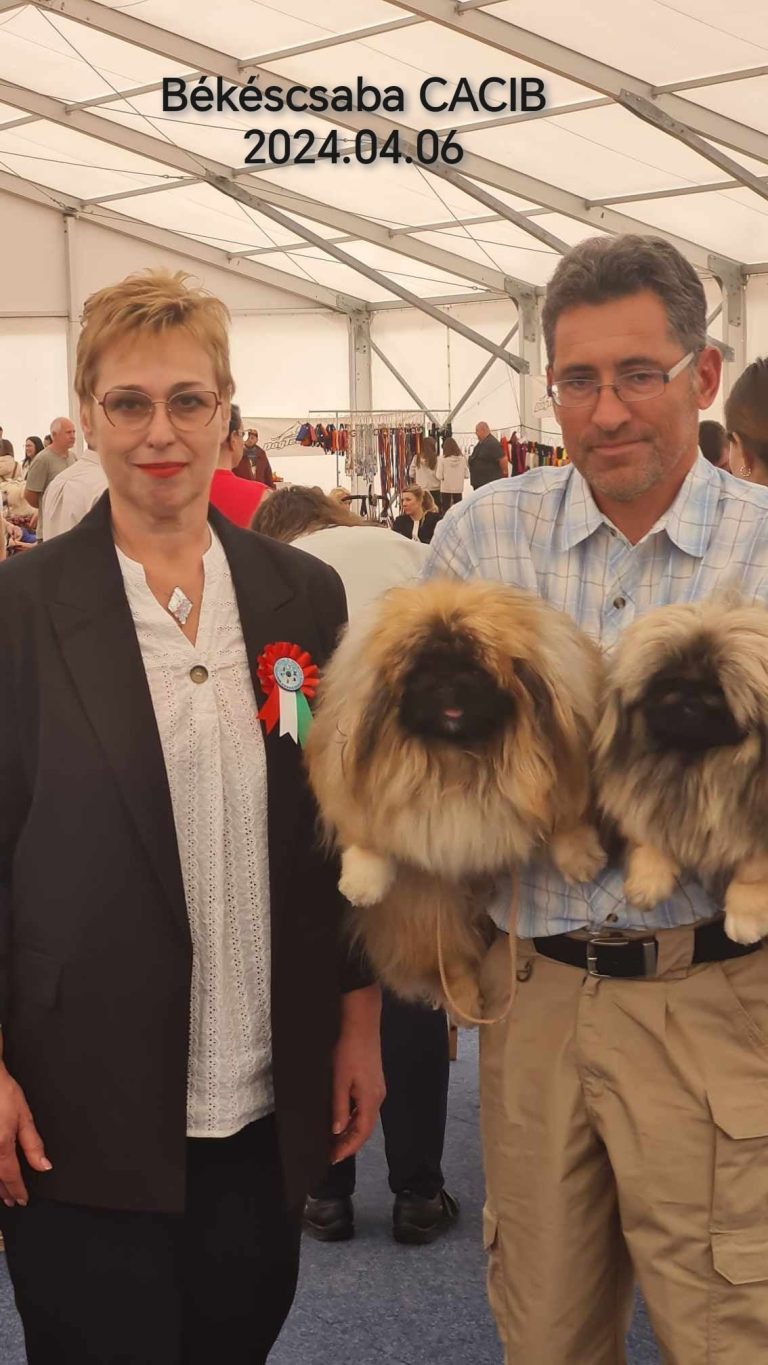 Boszka De Luxe Hamlet és Miss Gucci a Békéscsabai CACIB-on